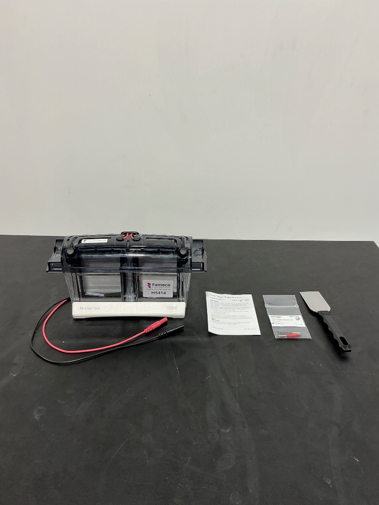 Image of Invitrogen Mini Gel Tank